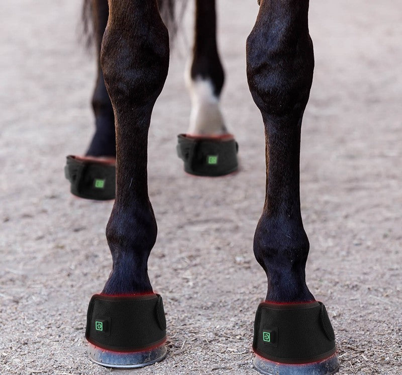 Equine Hoof Red & Infrared Therapy Lamp — Recovery Support