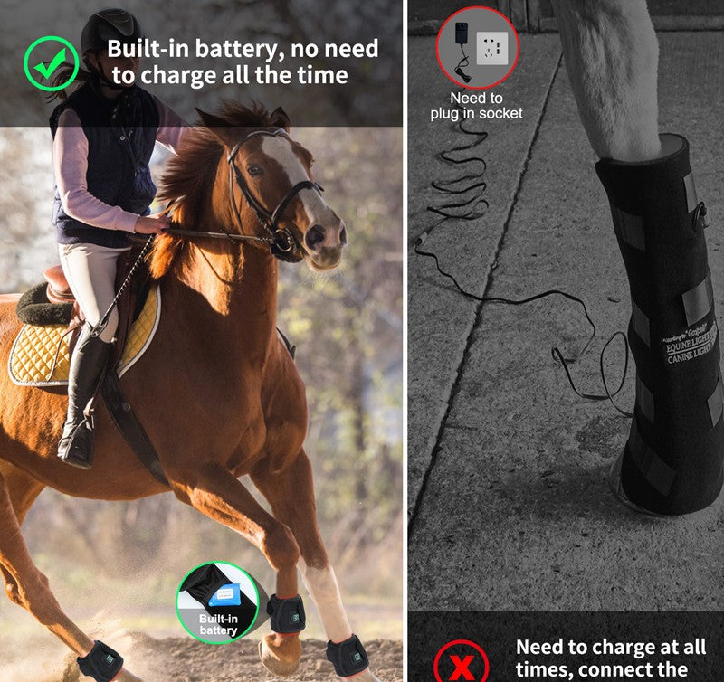 Equine Hoof Red & Infrared Therapy Lamp — Recovery Support