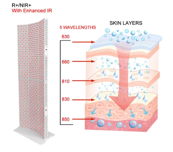 Full-Body Red Light Panel | 1600W 1200 LEDs 630-850nm