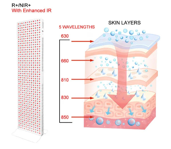 Full-Body Red Light Panel | 850W 600 LEDs 5-Wl 630-850nm
