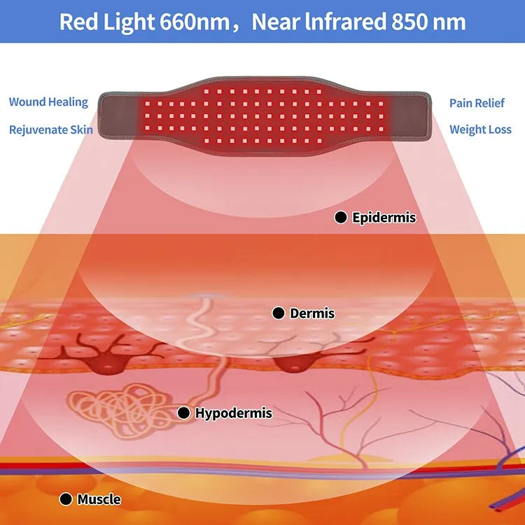 Red Light Therapy Belt | 80 LEDs 660nm Cordless Wrap